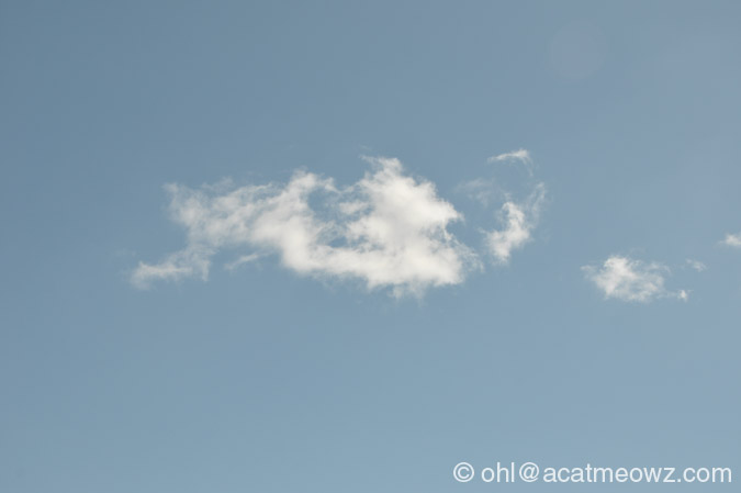 2010.03.11 0728a OneCloud